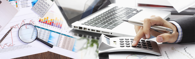 Illustration for article titled A Professional Tax Consultant